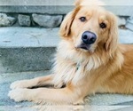 Small #10 Breeder Profile image