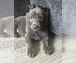 Medium Breeder Profile Photo