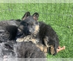 Small #157 Breeder Profile image