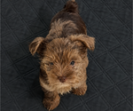 Small #8 Breeder Profile image