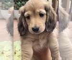 Small #19 Breeder Profile image