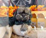 Small #4 Breeder Profile image