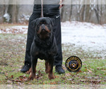 Small #6 Breeder Profile image