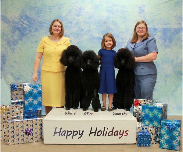 Medium Photo #1  Breeder Profile in ARCHBOLD, OH, USA