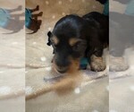 Small #2 Breeder Profile image