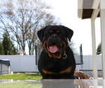 Small #4 Breeder Profile image