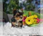 Small Photo #2  Breeder Profile in INDIANAPOLIS, IN, USA