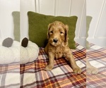 Small #13 Breeder Profile image
