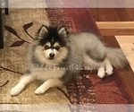 Small #22 Breeder Profile image