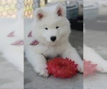 Small #4 Breeder Profile image
