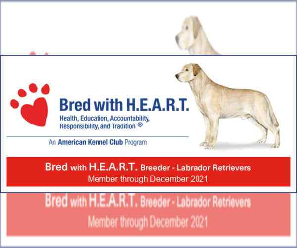 Medium Photo #2  Breeder Profile in BROWNS VALLEY, CA, USA