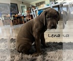 Small #4 Breeder Profile image