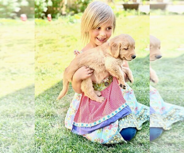 Medium Photo #1  Breeder Profile in PARMA, ID, USA