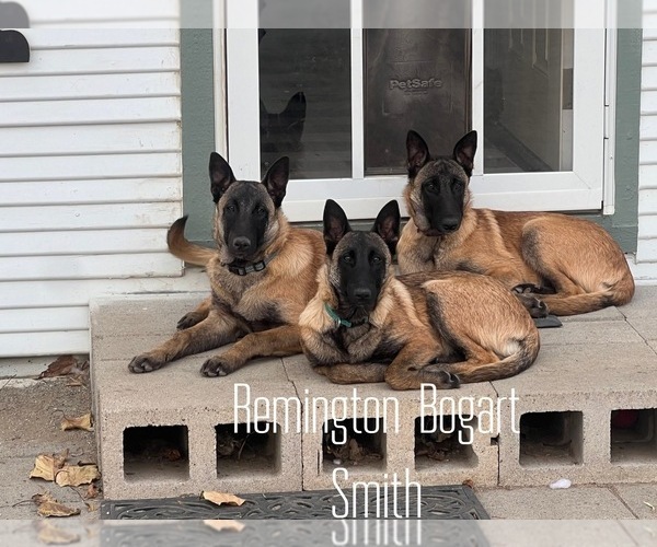 Medium Photo #1  Breeder Profile in WILLIAMS, CA, USA