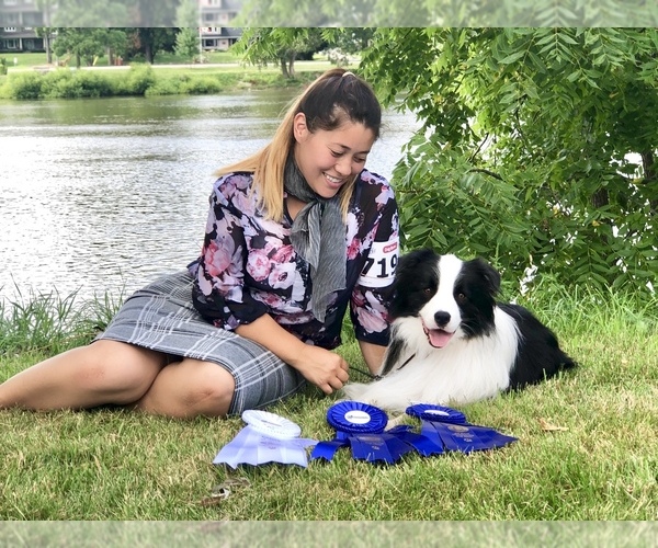 Medium Photo #15  Breeder Profile in BRYANTOWN, MD, USA