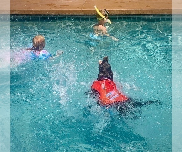 Medium Photo #24  Breeder Profile in CAMAS, WA, USA