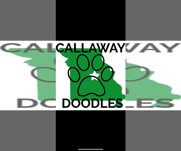 Medium Photo #1  Breeder Profile in AUXVASSE, MO, USA