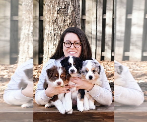 Medium Photo #1  Breeder Profile in GROVETOWN, GA, USA