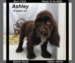 Small #2 Breeder Profile image