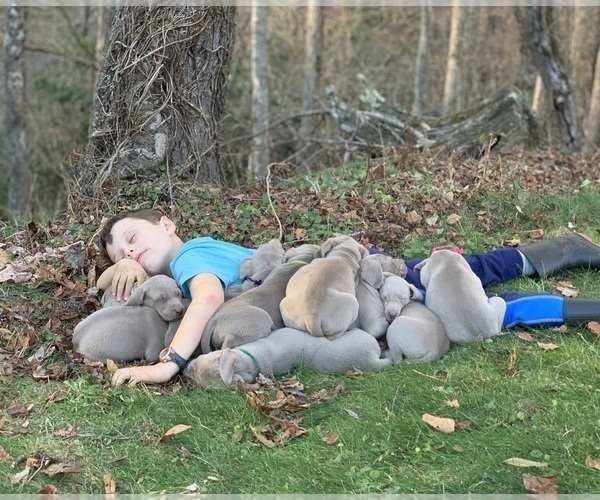 Medium Photo #1  Breeder Profile in LANSING, NC, USA