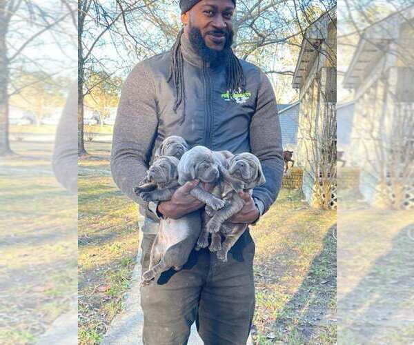 Medium Photo #1  Breeder Profile in CENTERVILLE, GA, USA