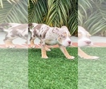 Small #4 Breeder Profile image