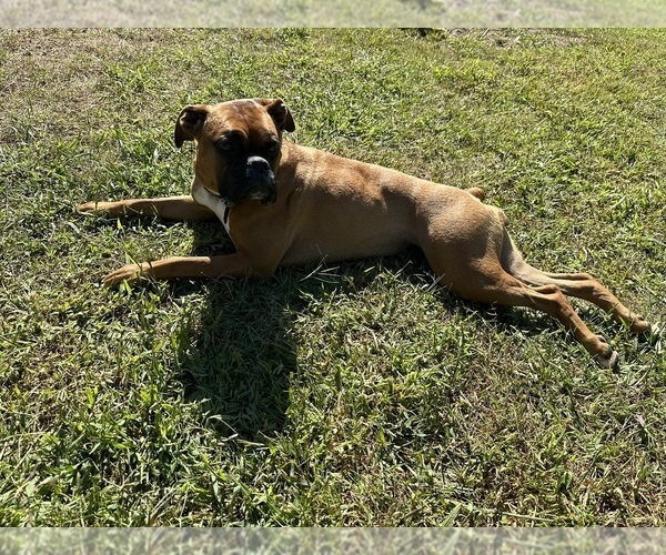 Medium Photo #2  Breeder Profile in EAST FREETOWN, MA, USA