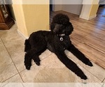 Small #3 Breeder Profile image