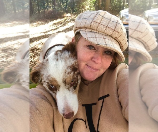 Medium Photo #1  Breeder Profile in AIKEN, SC, USA