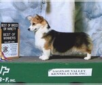 Small #2 Breeder Profile image