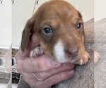 Small #11 Breeder Profile image