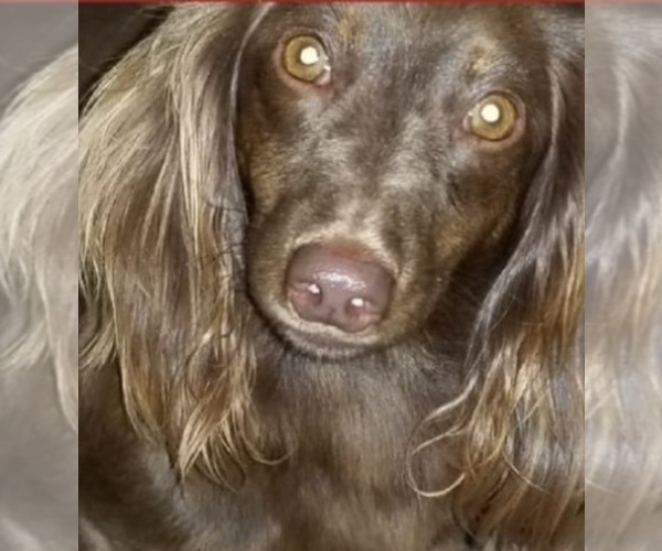 Medium Photo #1  Breeder Profile in YALE, OK, USA
