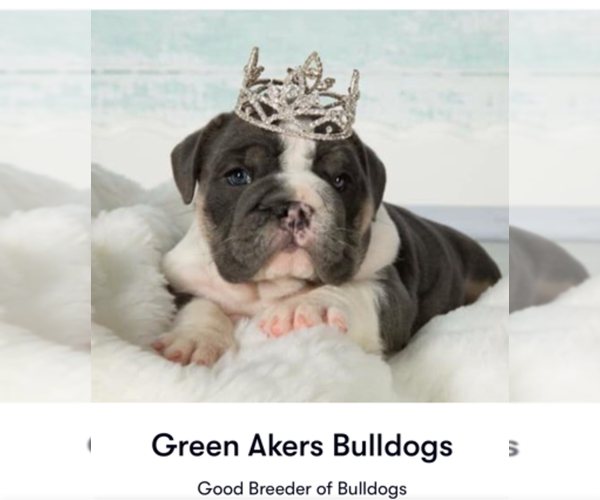Medium Photo #2  Breeder Profile in OOLOGAH, OK, USA