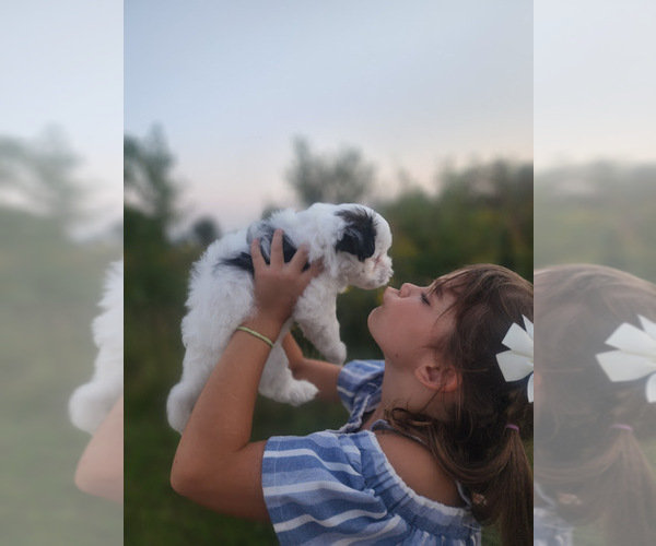 Medium Photo #11  Breeder Profile in FARMINGTON, MN, USA