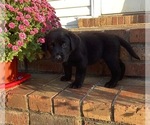 Small #1 Breeder Profile image