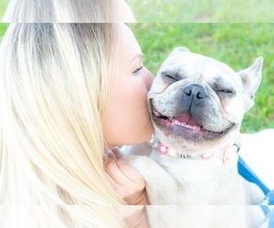 French Bulldog Dog Breeder near LAKE PARK, GA, USA