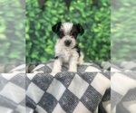 Small #3 Breeder Profile image