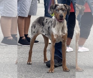 Medium Breeder Profile Photo