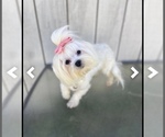 Small #5 Breeder Profile image