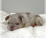 Small #3 Breeder Profile image