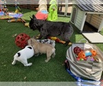 Small #15 Breeder Profile image
