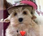 Small #3 Breeder Profile image