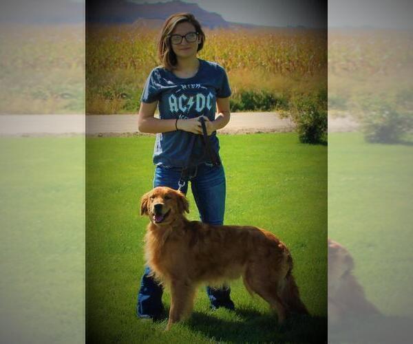 Medium Photo #7  Breeder Profile in BAYARD, NE, USA