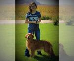 Small #6 Breeder Profile image