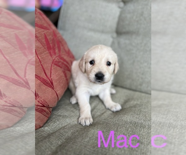 Medium Photo #24  Breeder Profile in BROOKSVILLE, FL, USA