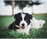 Small #8 Breeder Profile image