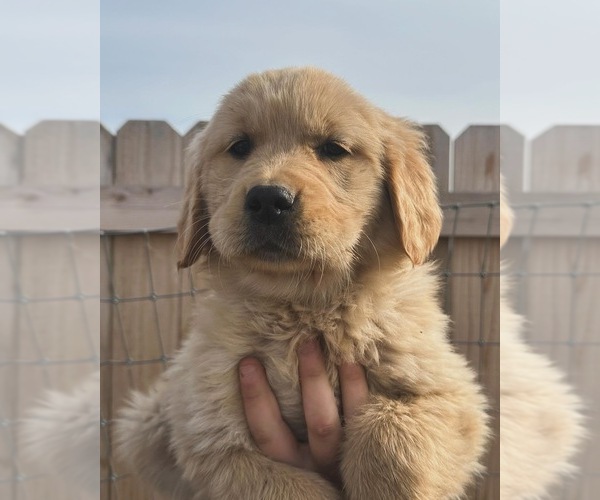 Medium Photo #4  Breeder Profile in KALISPELL, MT, USA