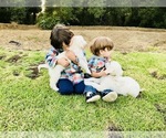 Small #5 Breeder Profile image