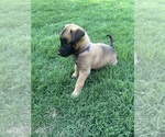 Small #10 Breeder Profile image