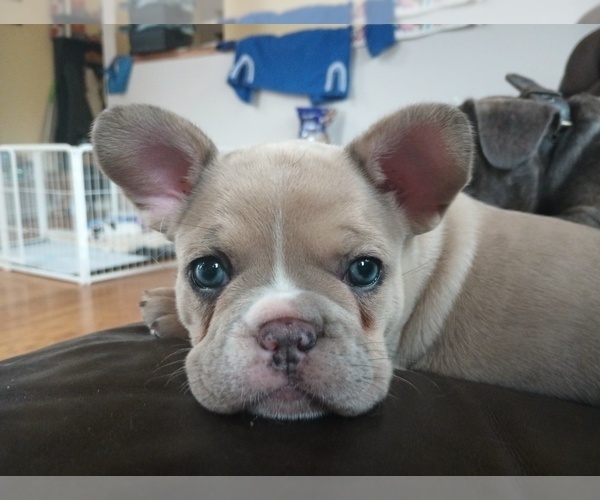 Medium Photo #4  Breeder Profile in MOSS BEACH, CA, USA